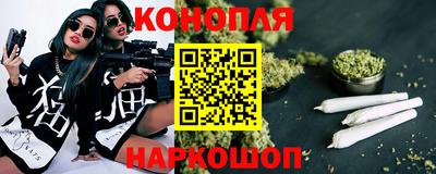 прущие грибы Кунгур