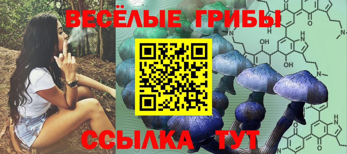 Псилоцибиновые грибы прущие грибы Ейск